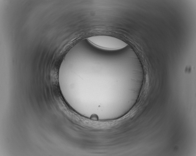 X0000113930048200909250926
