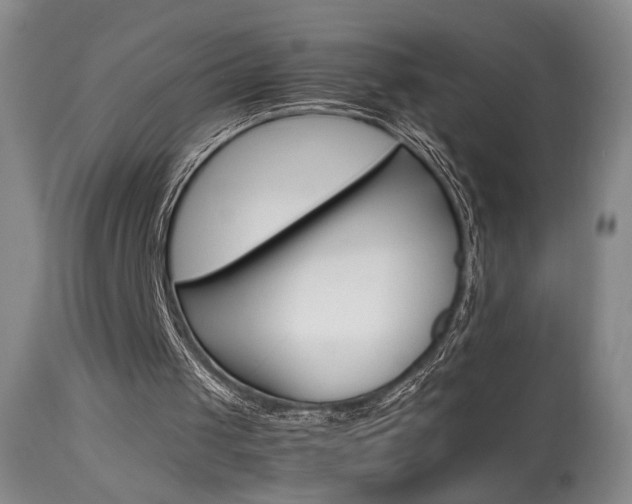 X0000113930049200909250925
