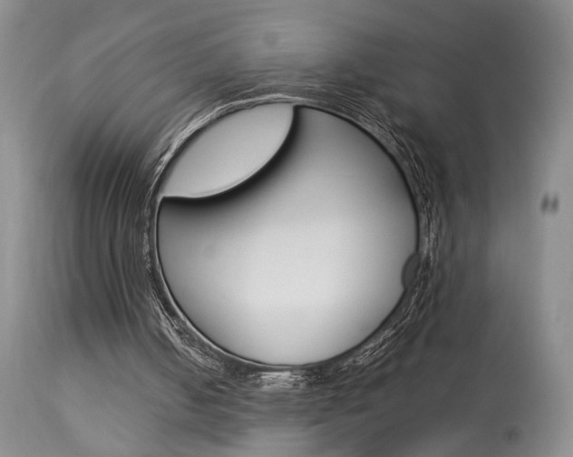 X0000113930050200909250925