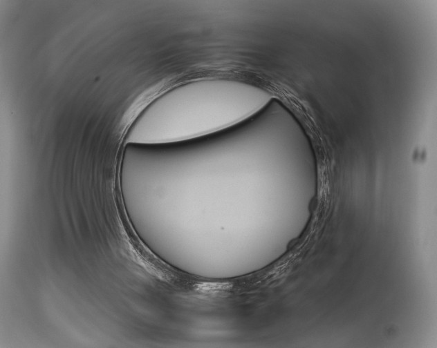 X0000113930051200909250925