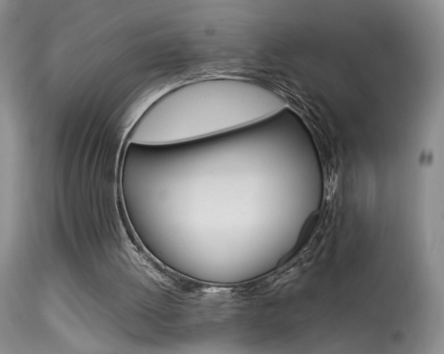 X0000113930052200909250925