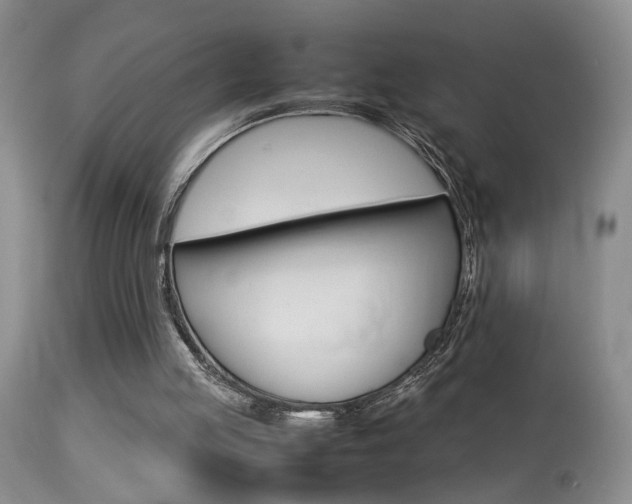 X0000113930053200909250925