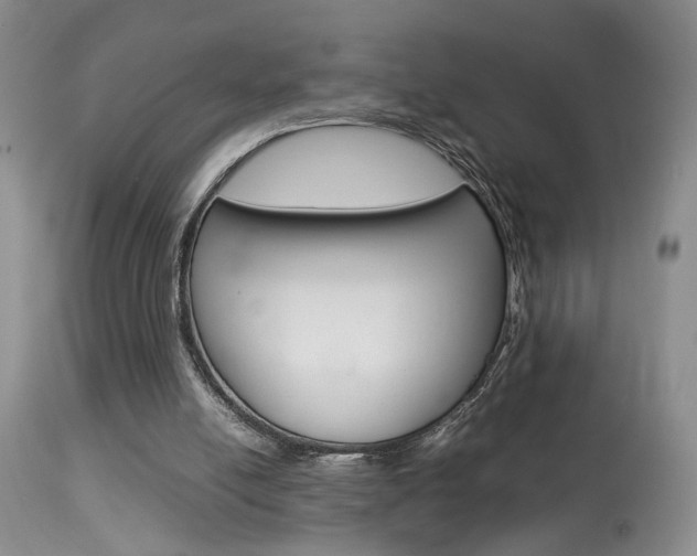 X0000113930054200909250925