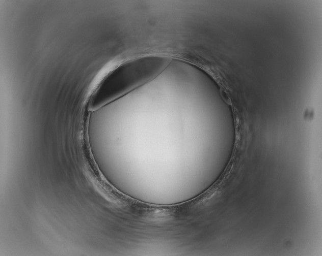 X0000113930056200909250925