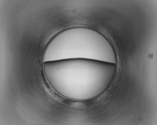 X0000113930058200909250925