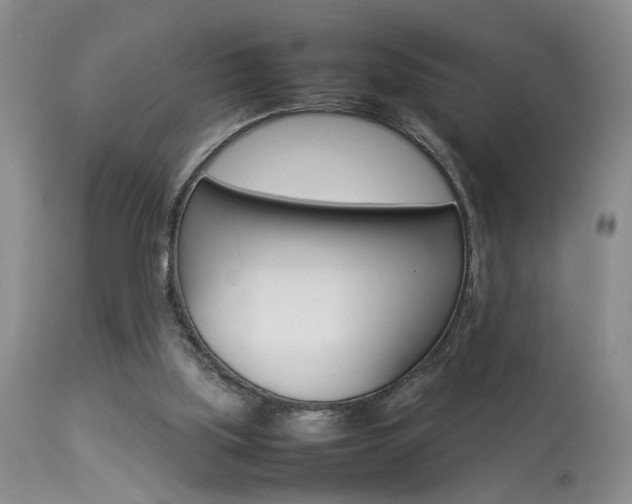 X0000113930059200909250925