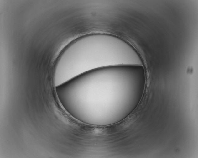 X0000113930060200909250925