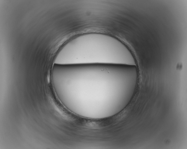 X0000113930062200909250925