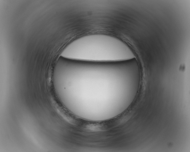 X0000113930065200909250925