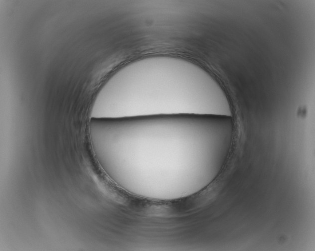 X0000113930066200909250926