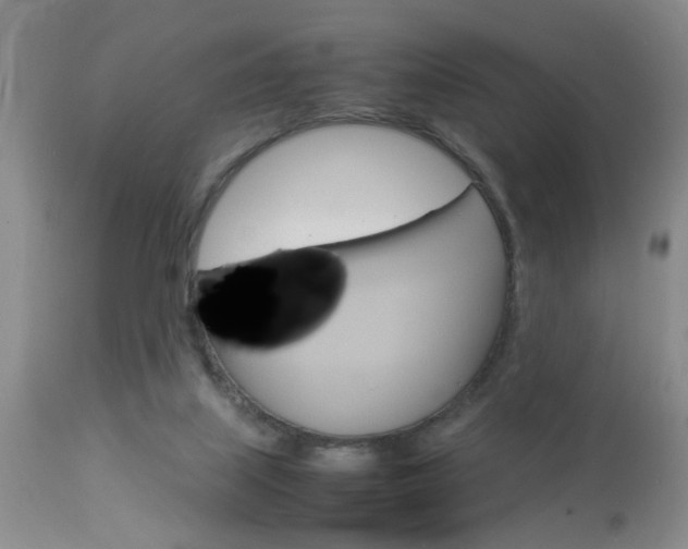 X0000113930067200909250926