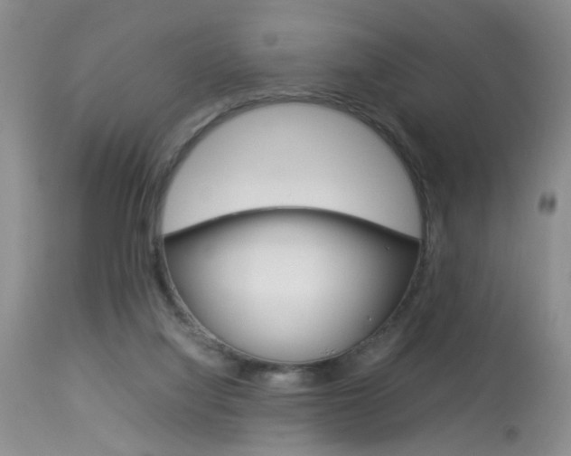 X0000113930068200909250926