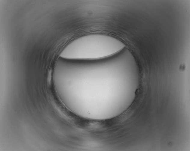 X0000113930070200909250926