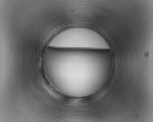 X0000113930072200909250926