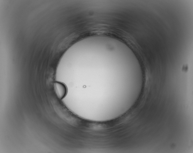X0000113930073200909250926