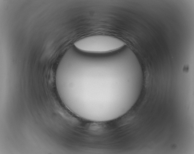 X0000113930077200909250926