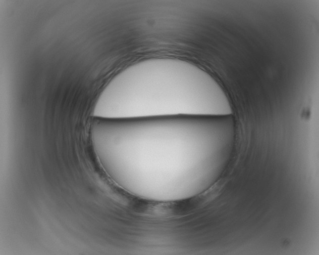 X0000113930078200909250926