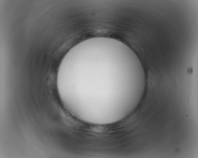 X0000113930079200909250926