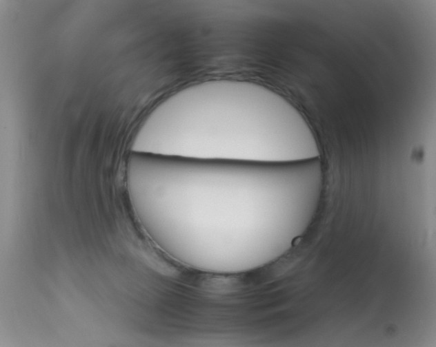 X0000113930081200909250926
