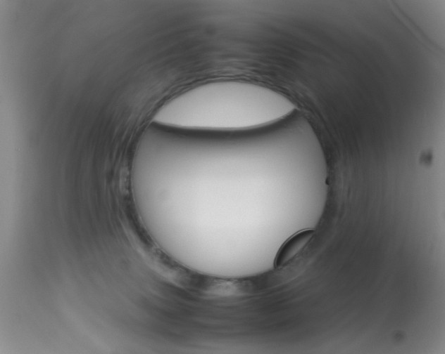 X0000113930083200909250926
