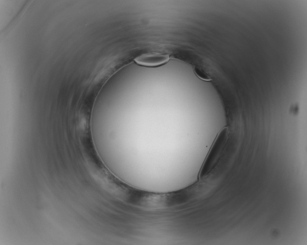 X0000113930084200909250926
