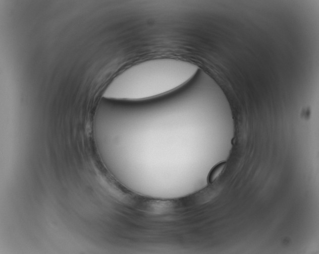 X0000113930085200909250926