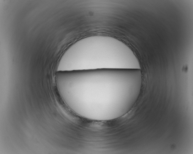 X0000113930086200909250926