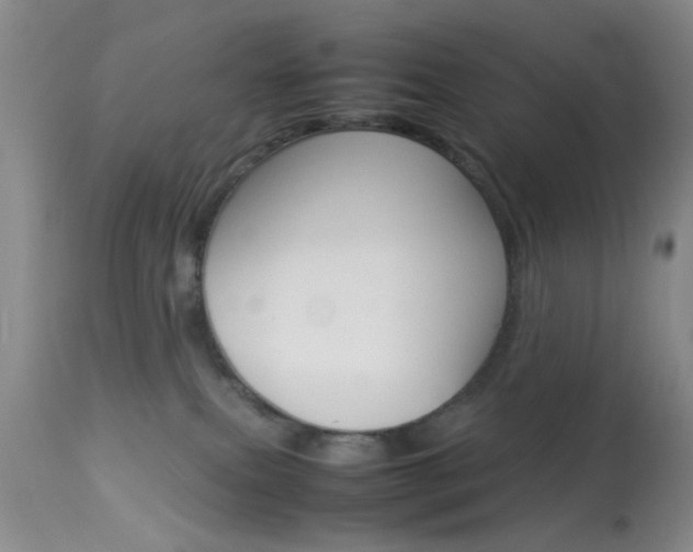 X0000113930087200909250926