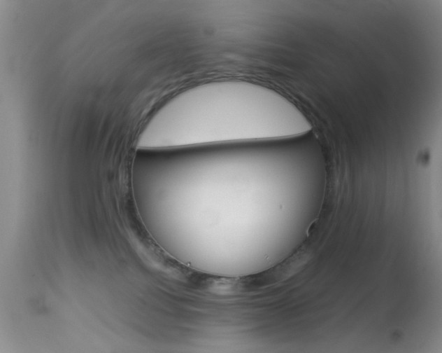 X0000113930088200909250926