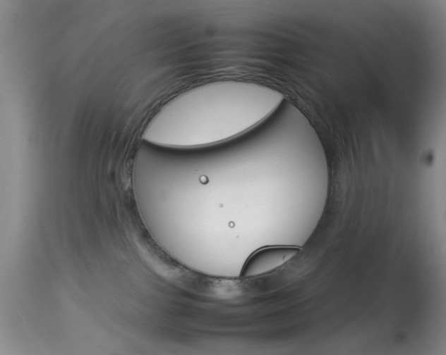 X0000113930091200909250926