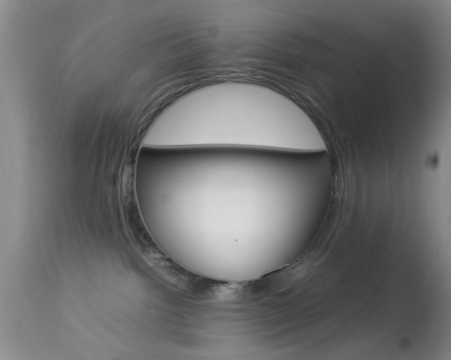 X0000113930092200909250926