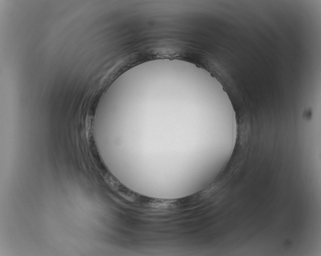 X0000113930093200909250926