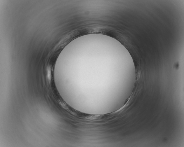 X0000113930094200909250926
