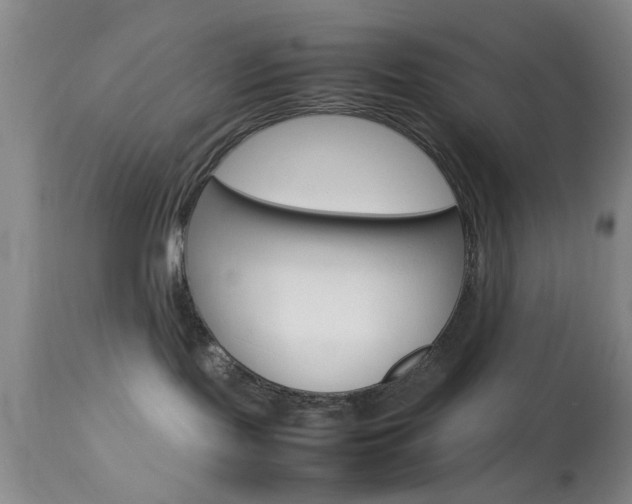 X0000113930095200909250926