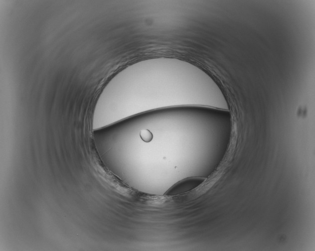 X0000113930096200909250926