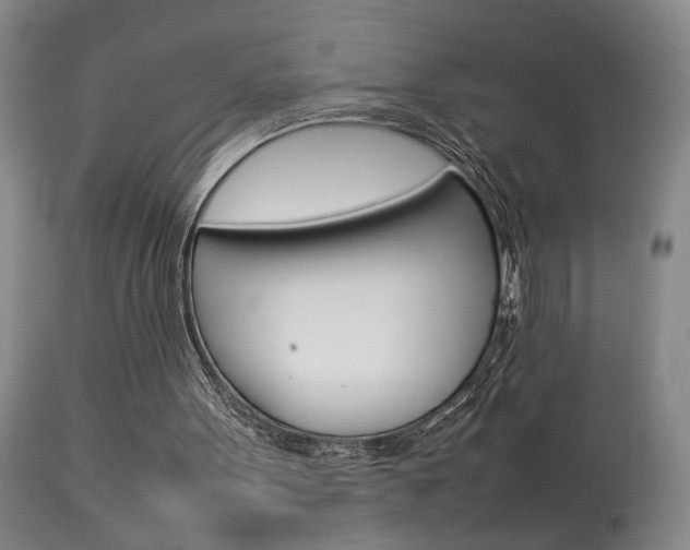 X0000113930099200909250925