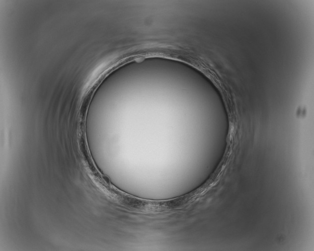 X0000113930101200909250925