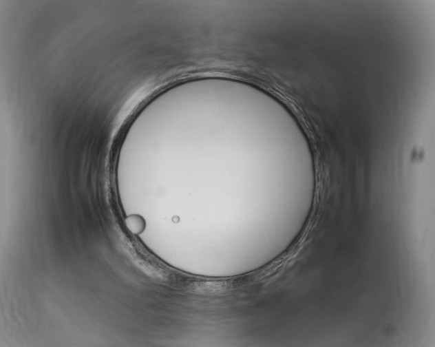 X0000113930102200909250925