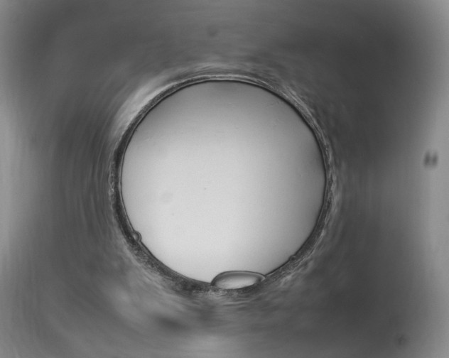 X0000113930103200909250925