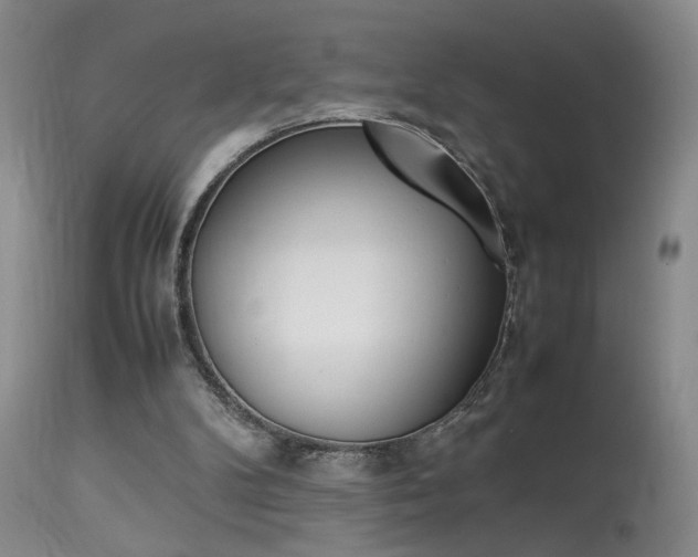 X0000113930104200909250925