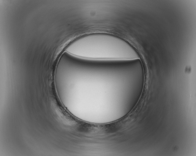 X0000113930107200909250925