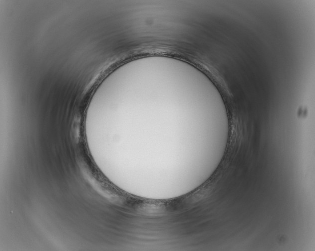 X0000113930110200909250925