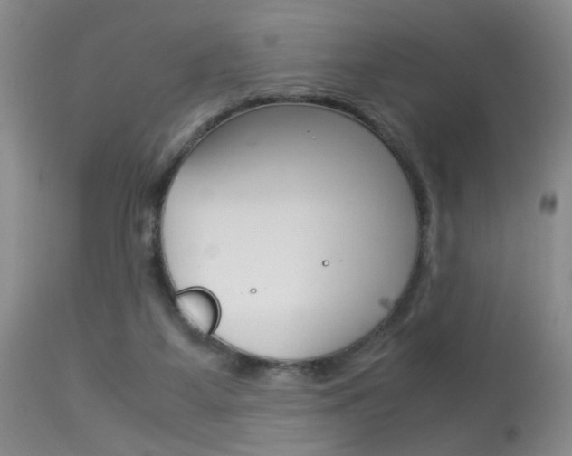 X0000113930115200909250925