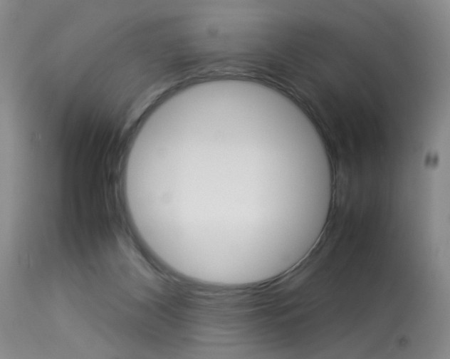 X0000113930116200909250925