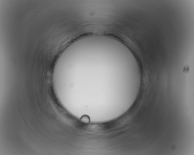 X0000113930117200909250925