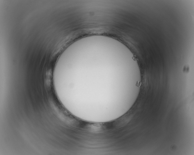 X0000113930118200909250925