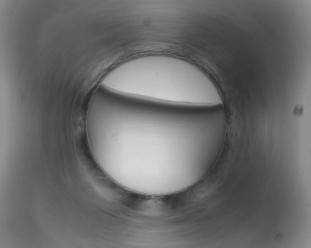 X0000113930119200909250925
