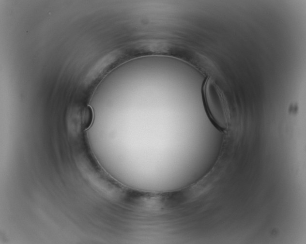X0000113930120200909250925
