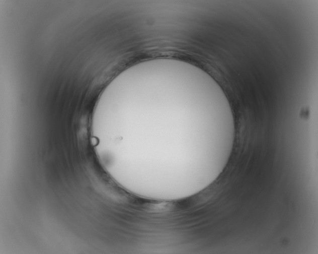 X0000113930122200909250925
