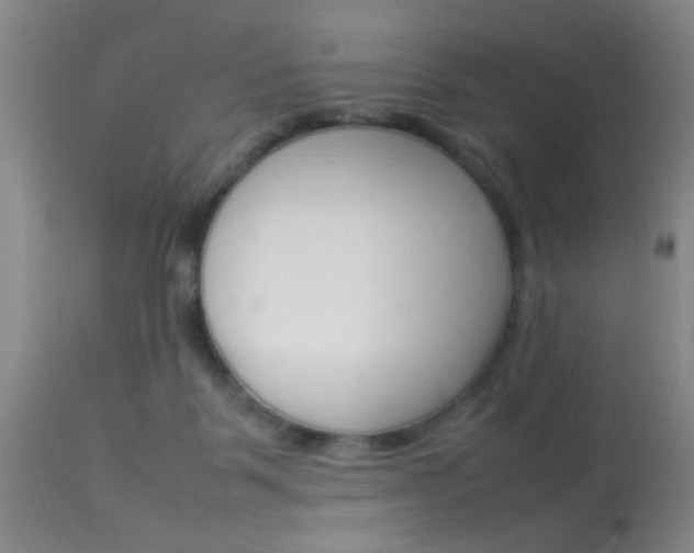X0000113930123200909250925
